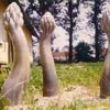 Freilandplastiken für eine Gartenschau